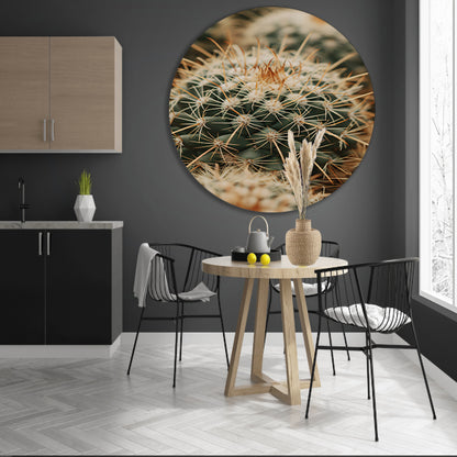 Close-up van een groene cactus forex muurcirkel