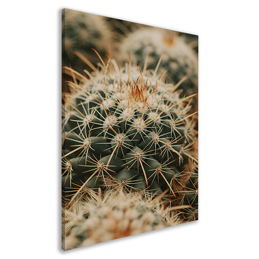 Close-up van een groene cactus canvas
