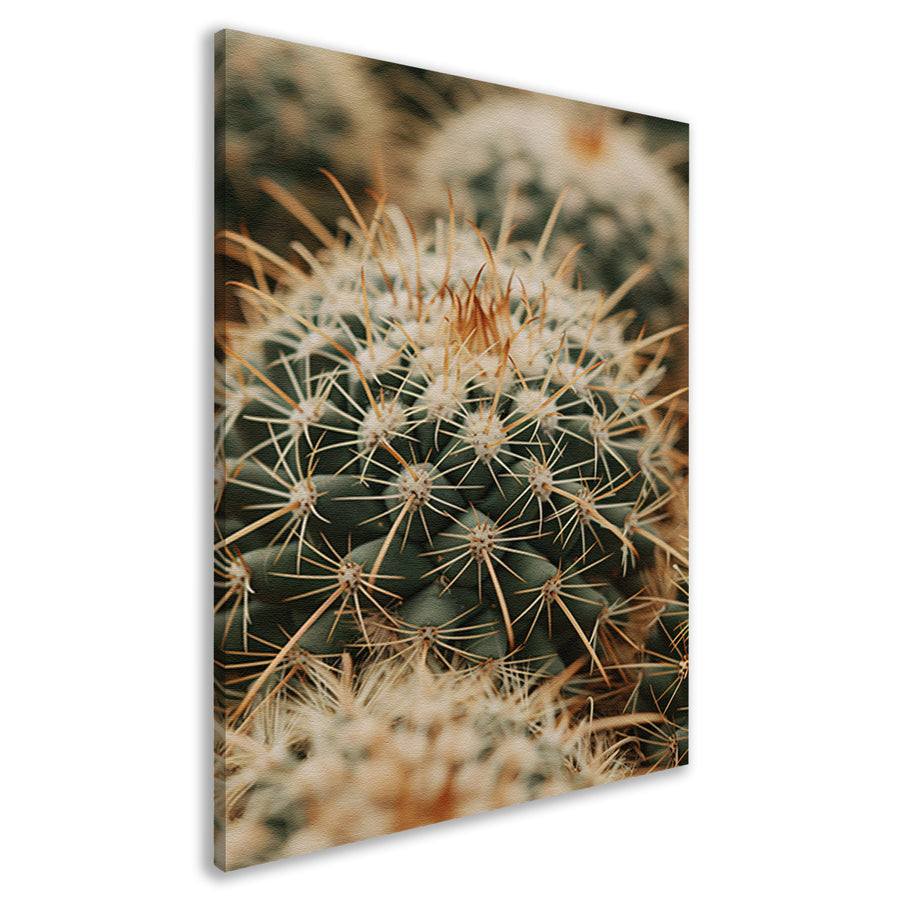 Close-up van een groene cactus canvas