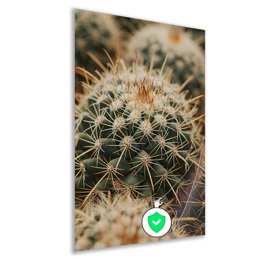 Close-up van een groene cactus poster