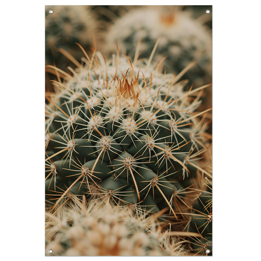 Close-up van een groene cactus tuinposter