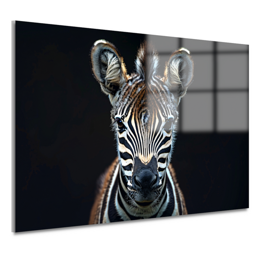 Intieme close-up van een zebra acrylglas