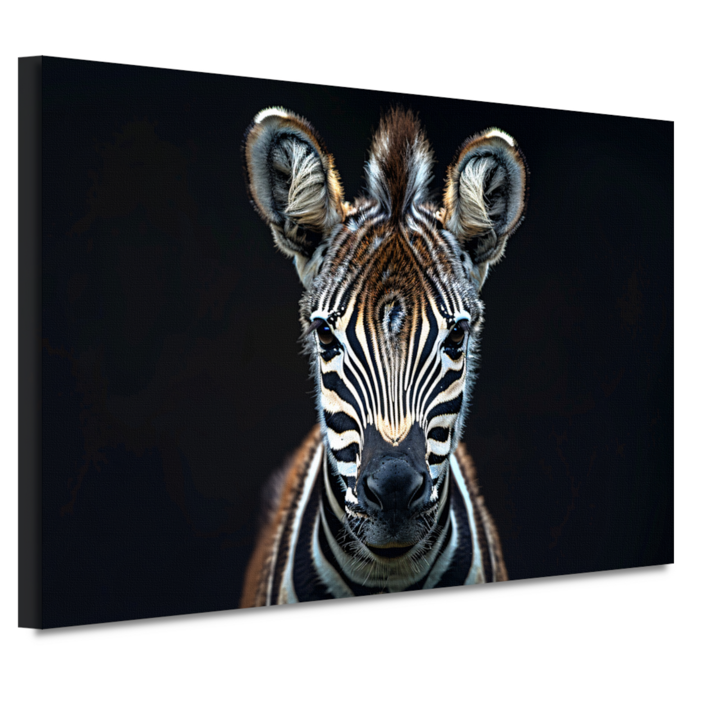 Intieme close-up van een zebra canvas