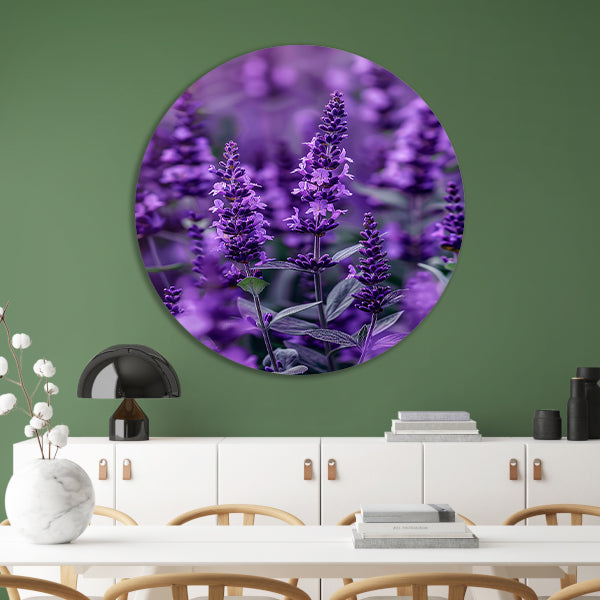 Close-up van paarse lavendel in bloei forex muurcirkel