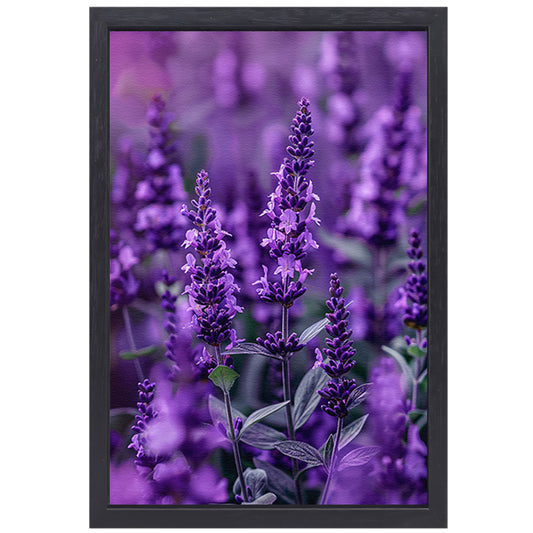 Close-up van paarse lavendel in bloei canvas met baklijst