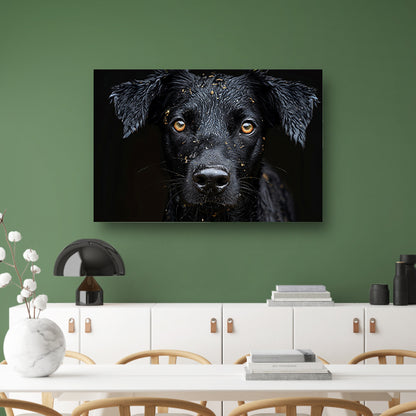 Zwarte Hond Gele Ogen acrylglas