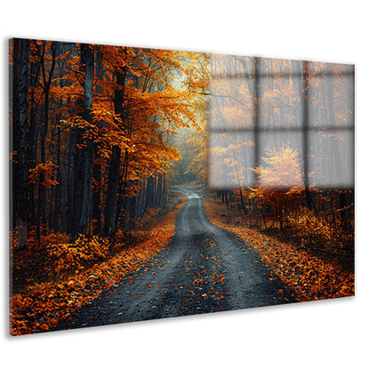 Verlaten bospaadje in zwart-wit acrylglas