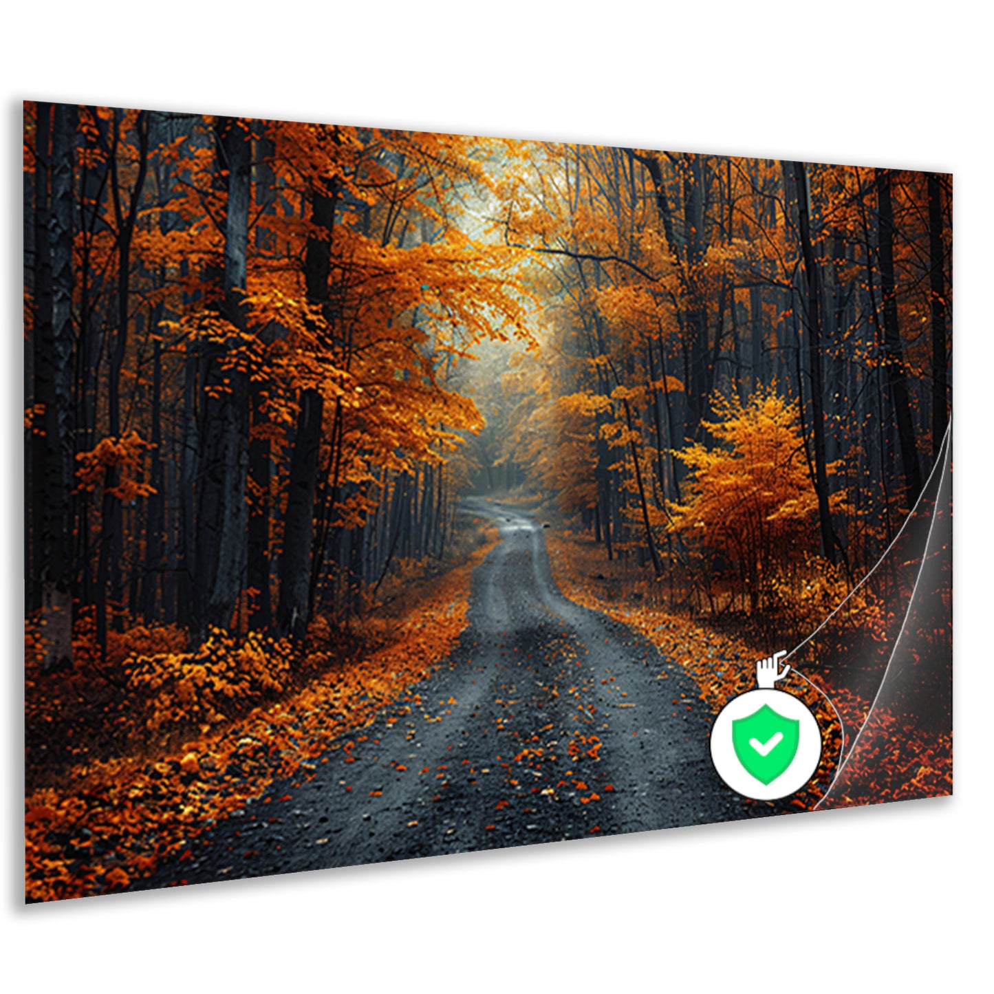 Verlaten bospaadje in zwart-wit poster