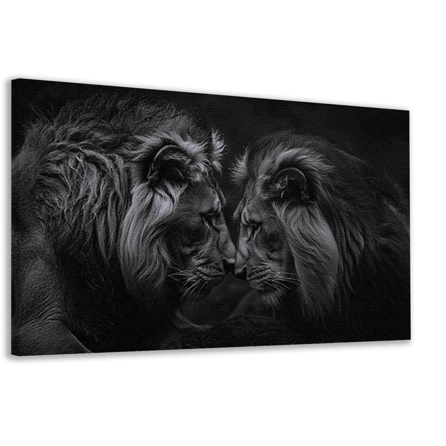 Twee leeuwen in een donkere omgeving canvas