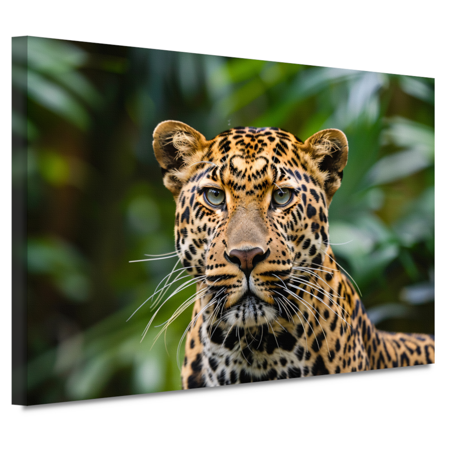 Stille Waarnemer - Luipaard in de Wildernis canvas