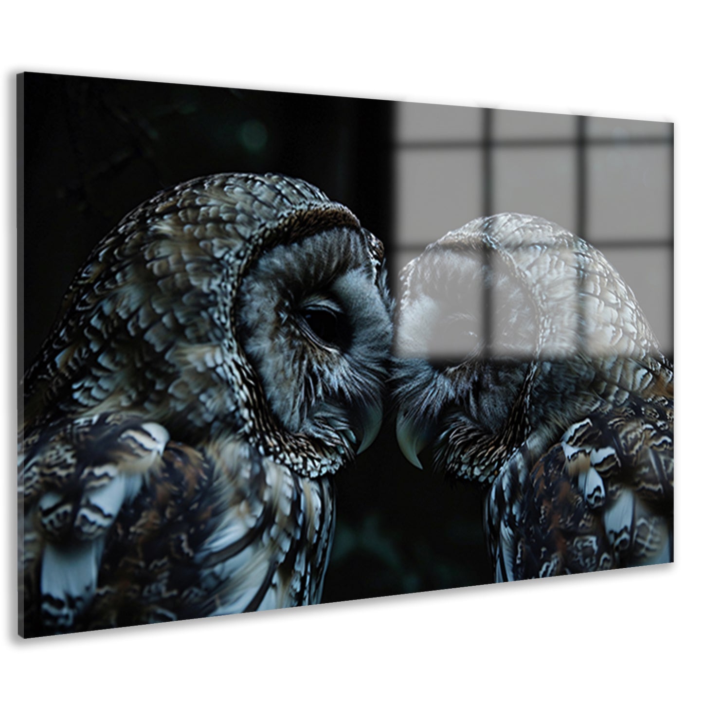 Twee uilen in een donkere omgeving acrylglas