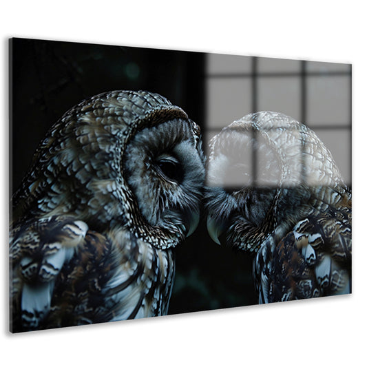 Twee uilen in een donkere omgeving acrylglas