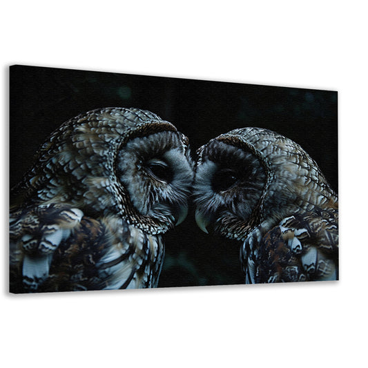 Twee uilen in een donkere omgeving canvas
