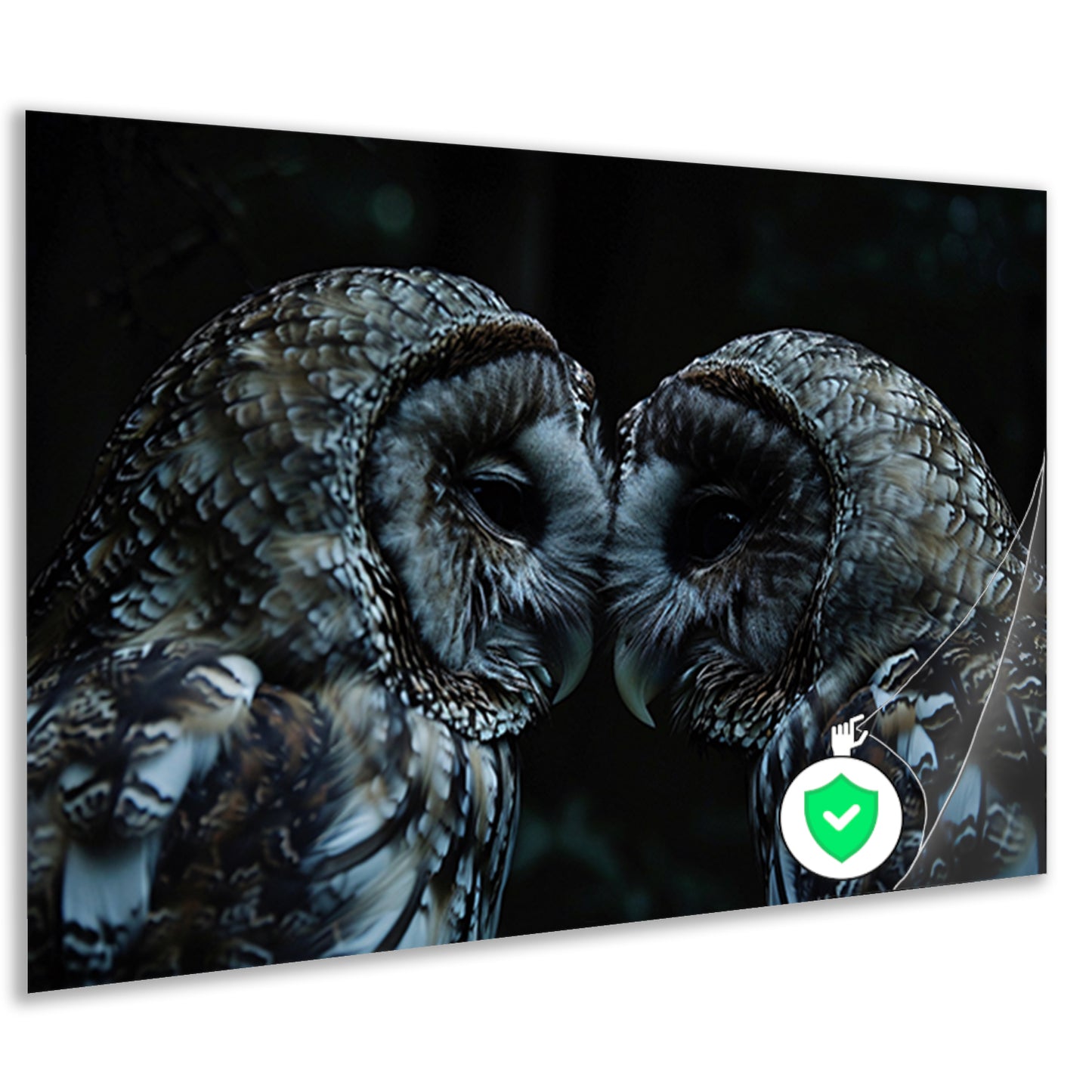 Twee uilen in een donkere omgeving poster