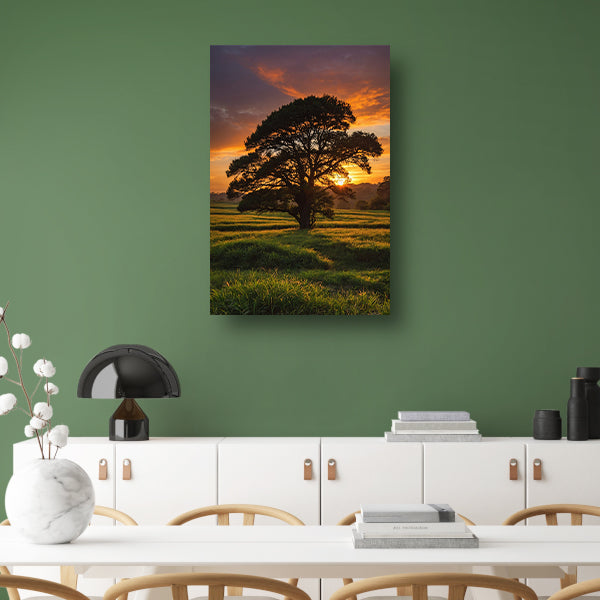 Zonsondergang achter majestueuze boom in landschap canvas