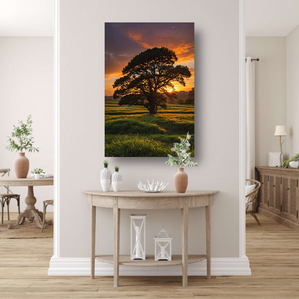 Zonsondergang achter majestueuze boom in landschap canvas met baklijst