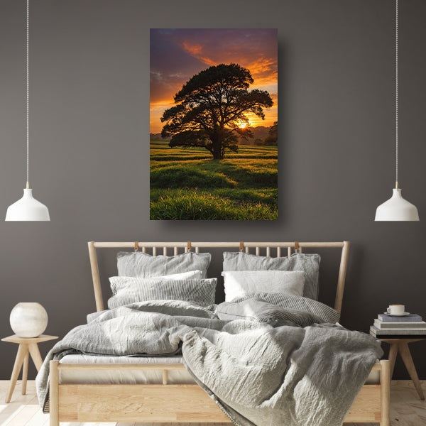 Zonsondergang achter majestueuze boom in landschap poster