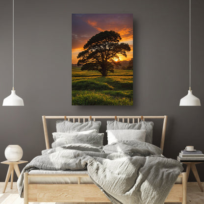 Zonsondergang achter majestueuze boom in landschap canvas met baklijst