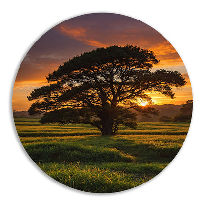 Zonsondergang achter majestueuze boom in landschap aluminium muurcirkel