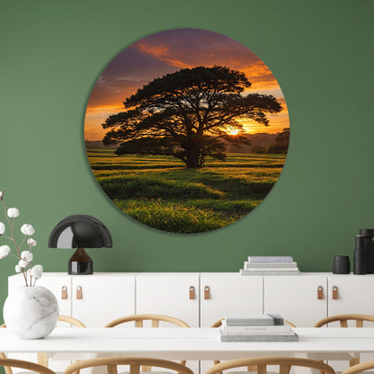 Zonsondergang achter majestueuze boom in landschap aluminium muurcirkel
