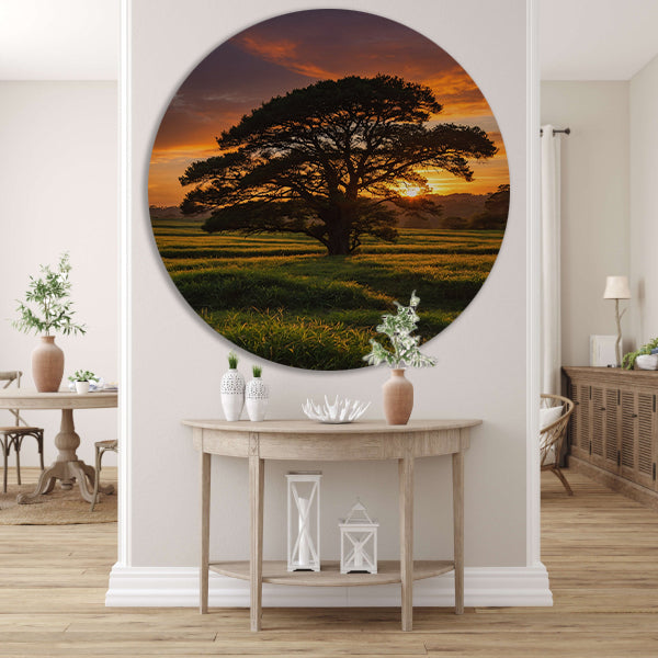 Zonsondergang achter majestueuze boom in landschap aluminium muurcirkel
