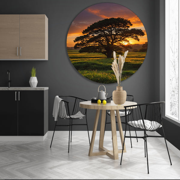 Zonsondergang achter majestueuze boom in landschap aluminium muurcirkel