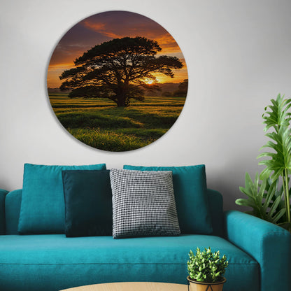 Zonsondergang achter majestueuze boom in landschap aluminium muurcirkel