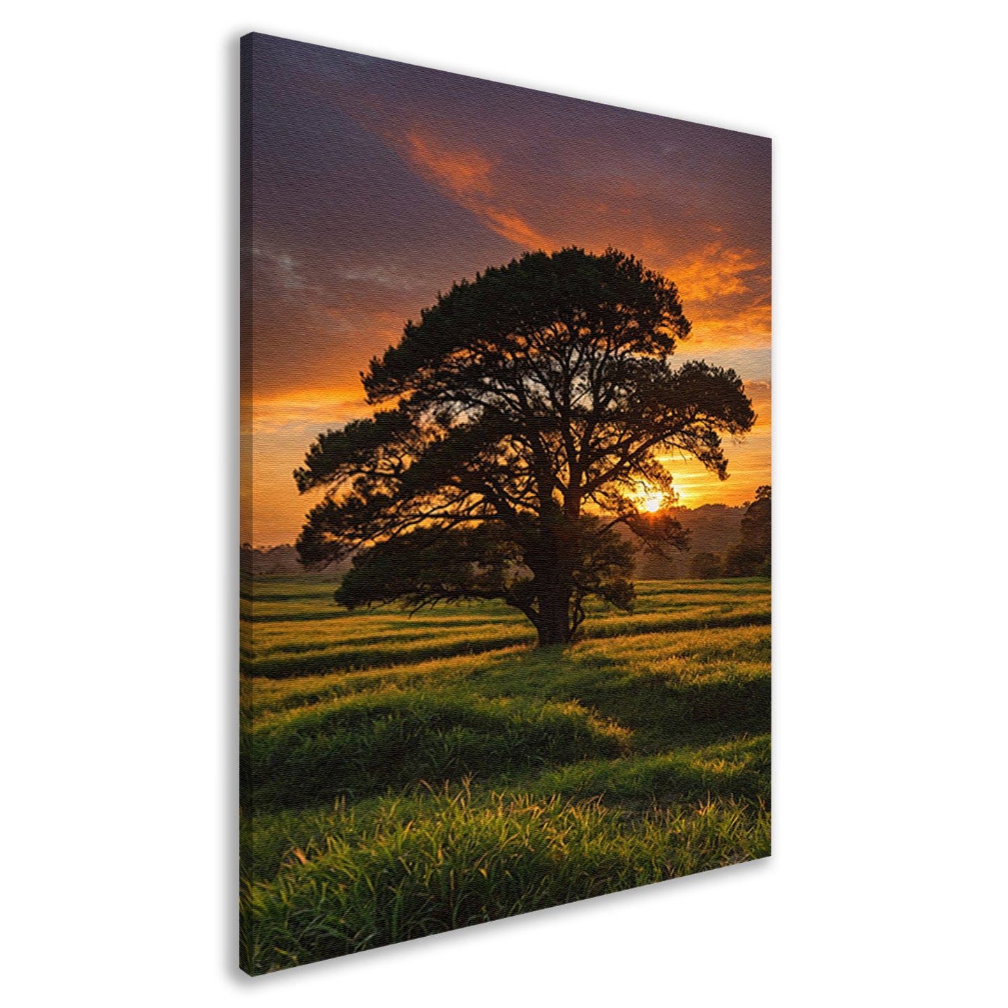 Zonsondergang achter majestueuze boom in landschap canvas