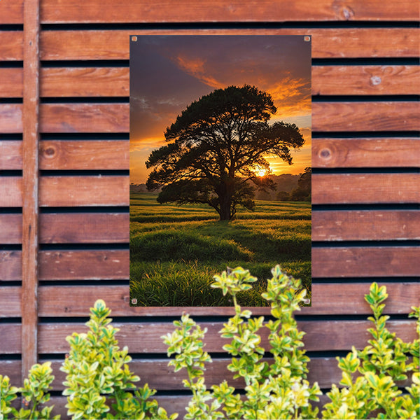 Zonsondergang achter majestueuze boom in landschap tuinposter