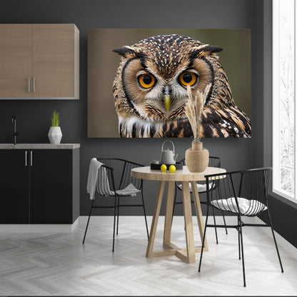 Majestueuze uil met intense blik canvas