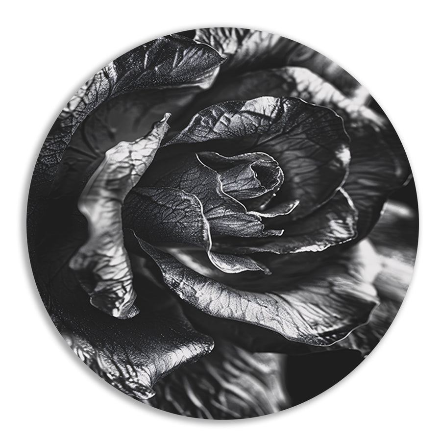 Elegante zwart-wit macrofotografie van een roos forex muurcirkel