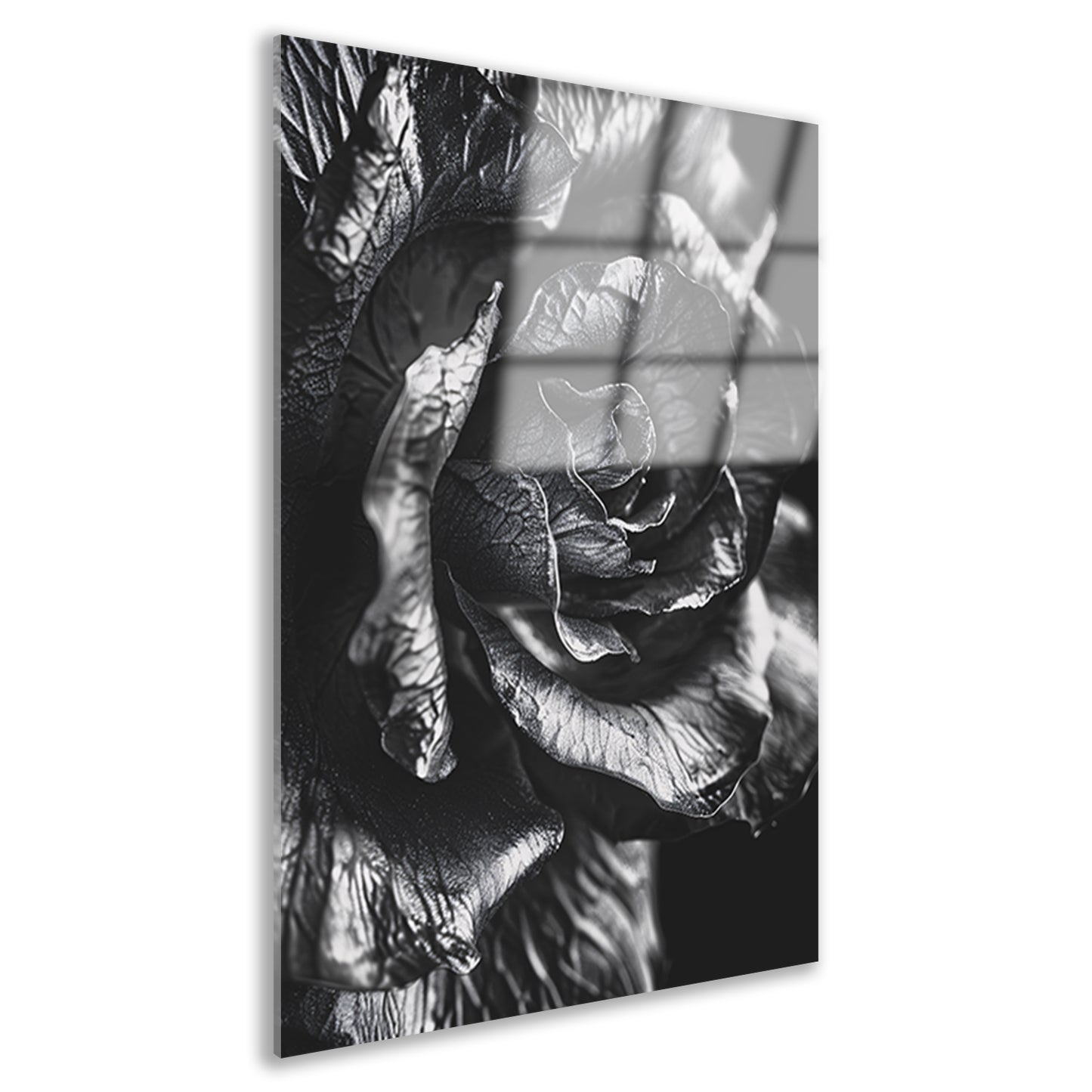 Elegante zwart-wit macrofotografie van een roos acrylglas
