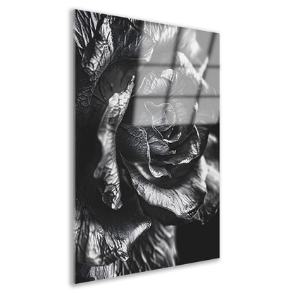 Elegante zwart-wit macrofotografie van een roos acrylglas