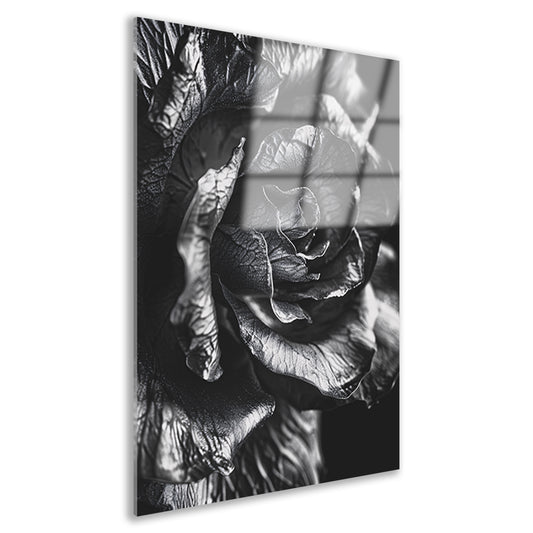 Elegante zwart-wit macrofotografie van een roos acrylglas