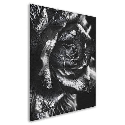 Elegante zwart-wit macrofotografie van een roos canvas