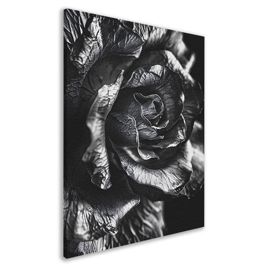 Elegante zwart-wit macrofotografie van een roos canvas