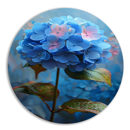 Blauwe hortensia met pastelkleuren in close-up aluminium muurcirkel