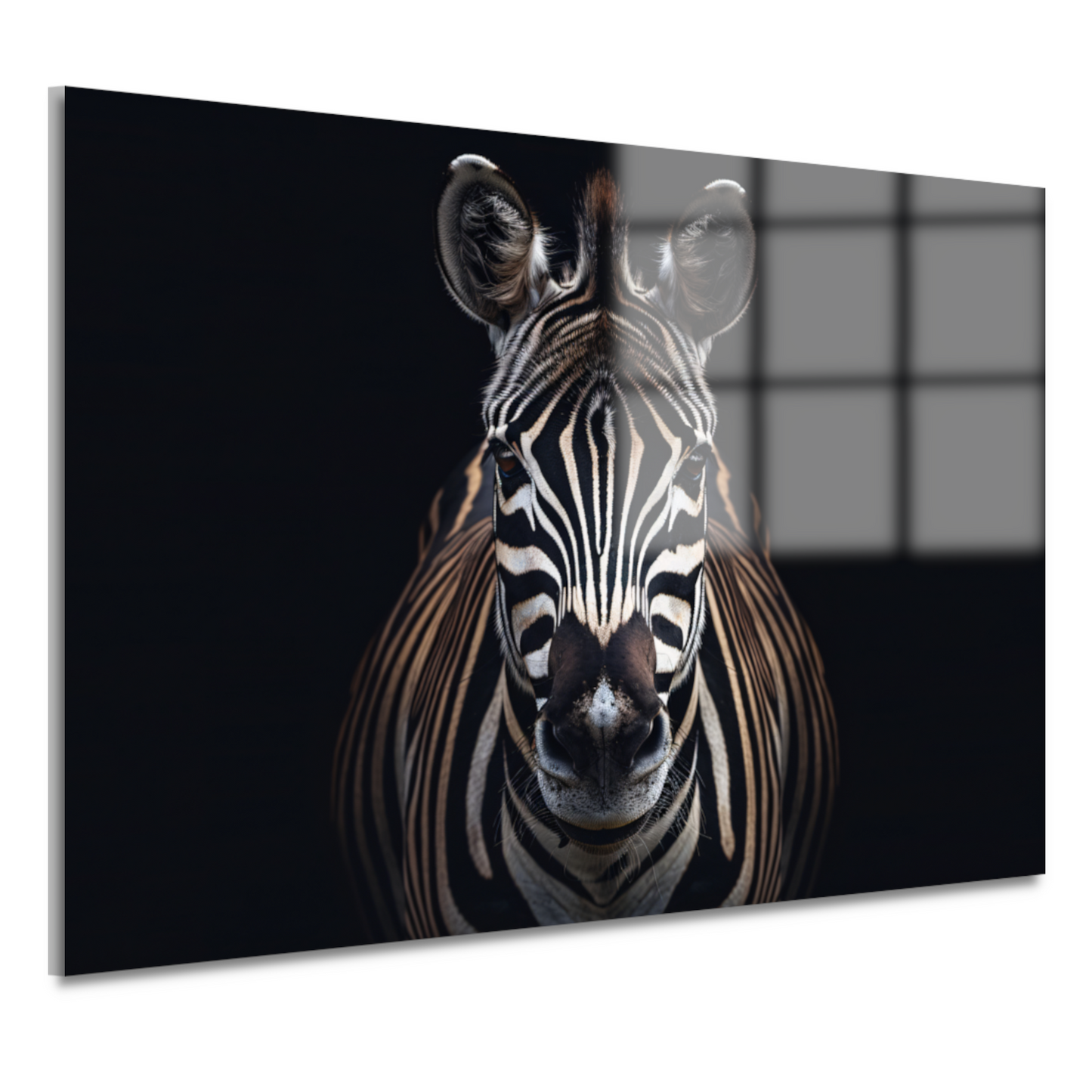 Stille contemplatie van een zebra acrylglas