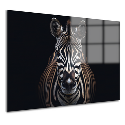 Stille contemplatie van een zebra acrylglas