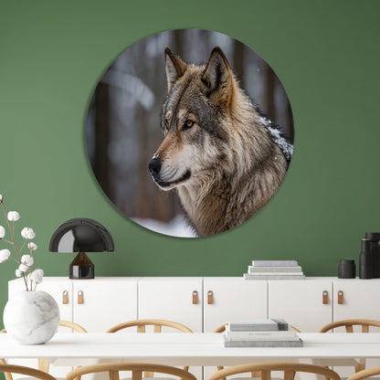 Prachtige close-up foto van een wolf aluminium muurcirkel