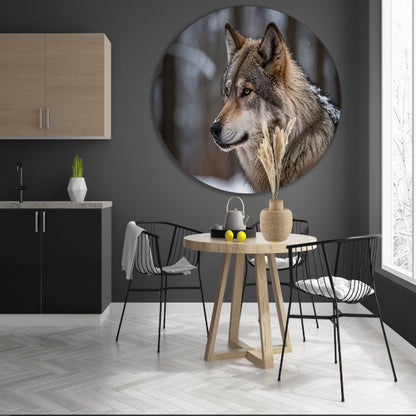 Prachtige close-up foto van een wolf aluminium muurcirkel