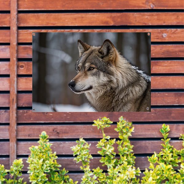 Prachtige close-up foto van een wolf tuinposter