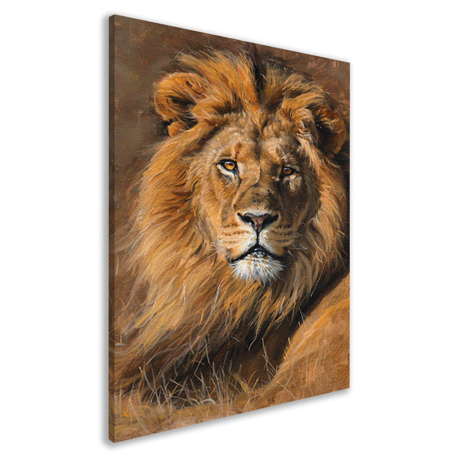 Majestueuze leeuw in het wild schilderij canvas