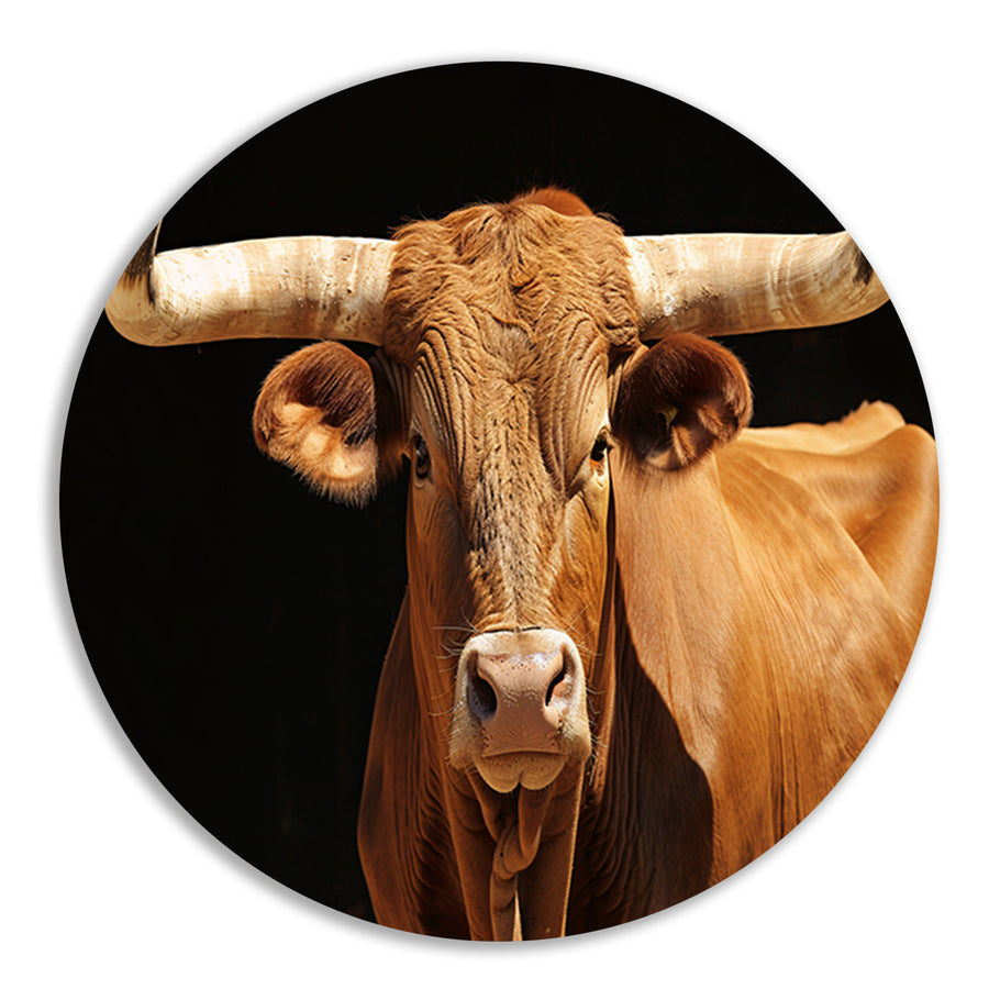 Majestueuze stier met indrukwekkende hoorns forex muurcirkel