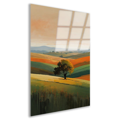Boom in Herfstkleuren op Golvende Heuvels acrylglas