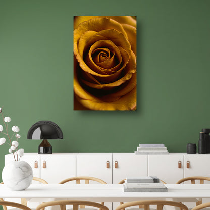 Gouden ochtenddauw op gele roos canvas