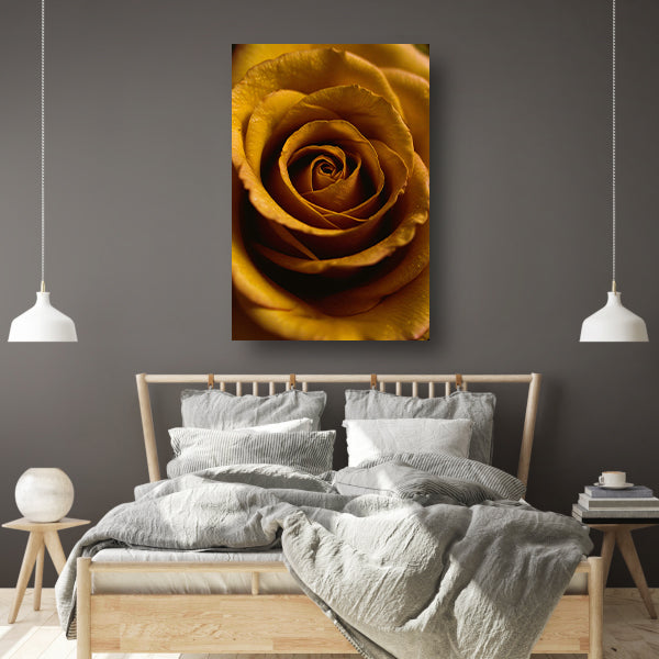 Gouden ochtenddauw op gele roos canvas