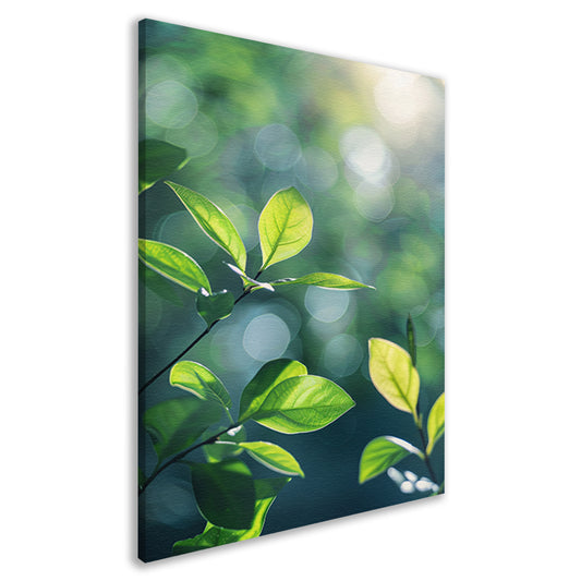 Zonnestralen door groene bladeren in het bos canvas