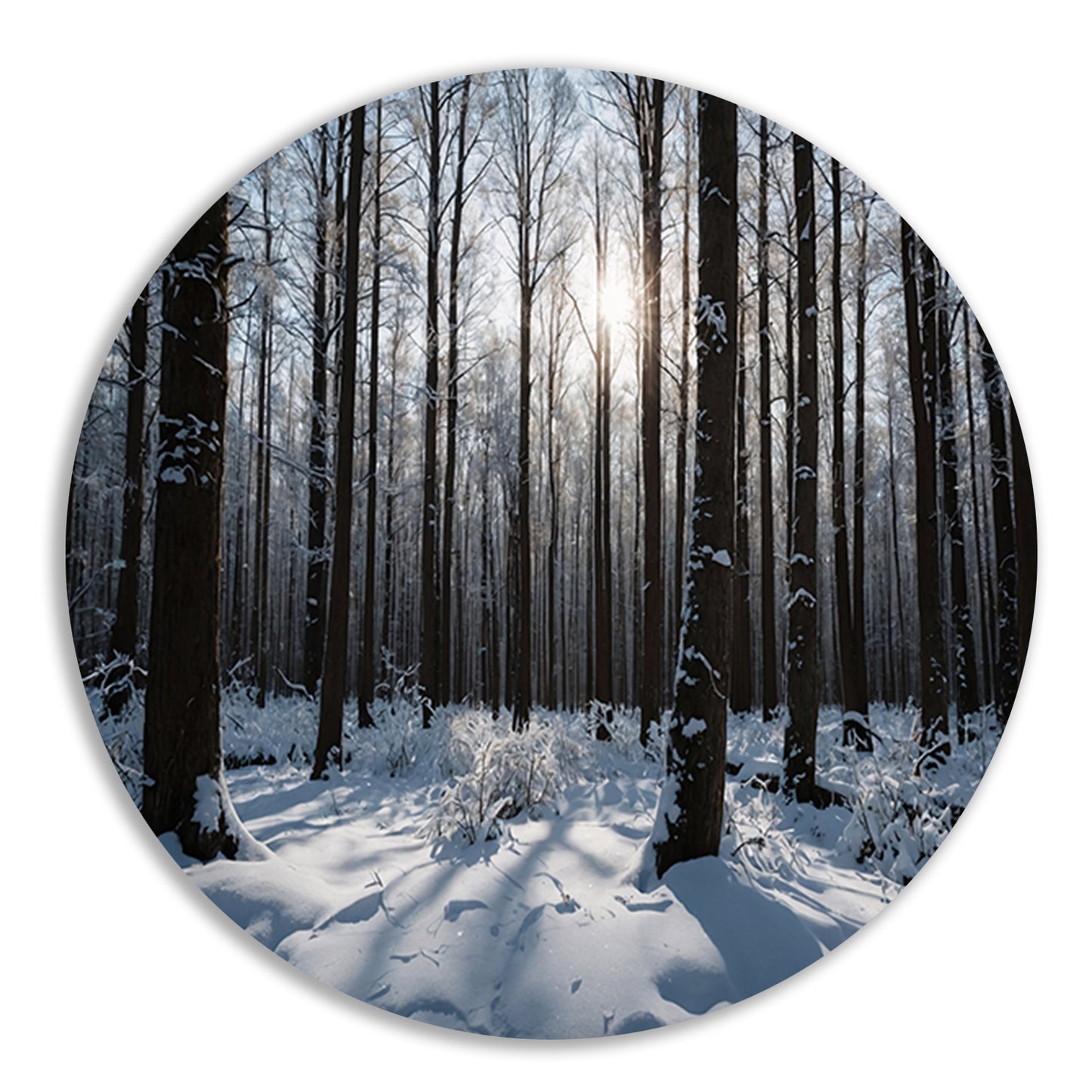 Serene winterbos met besneeuwde bomen aluminium muurcirkel