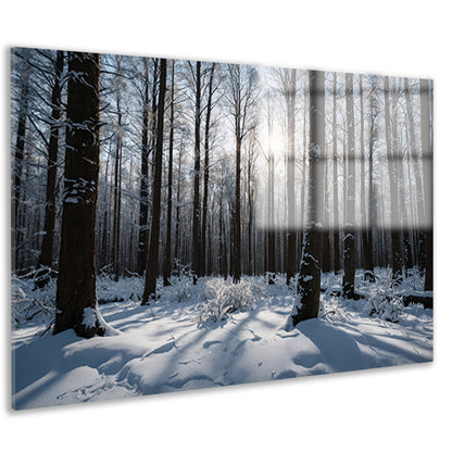 Serene winterbos met besneeuwde bomen acrylglas